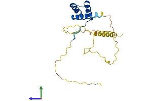 Protein Structure (PS) image for Retina and Anterior Neural Fold Homeobox 2 (RAX2) (AA 1-184) protein (His tag) (ABIN7551186)