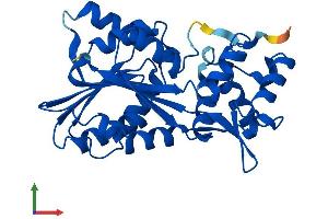 Protein Structure (PS) image for Histamine N-Methyltransferase (HNMT) (AA 1-295) protein (His tag) (ABIN7559987)