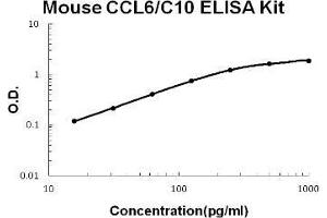 Mouse CCL6/C10 PicoKine ELISA Kit standard curve