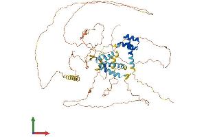 Protein Structure (PS) image for POU Class 6 Homeobox 2 (POU6F2) (AA 1-691) protein (His tag) (ABIN7550905)