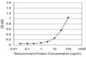 Detection limit for recombinant GST tagged CDK4 is approximately 3ng/ml as a capture antibody. (CDK4 抗体  (AA 211-303))