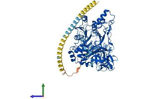 Protein Structure (PS) image for UDP-N-Acetyl-alpha-D-Galactosamine:polypeptide N-Acetylgalactosaminyltransferase 3 (GalNAc-T3) (GALNT3) (AA 1-633) protein (His tag) (ABIN7553972)