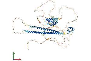 AlphaFold protein structure predicition of Human Recombinant CBFA2T2 Protein, UniprotID O43439