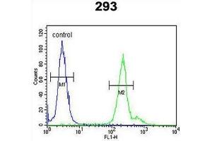 GPM6A Antibody (C-term) flow cytometric analysis of 293 cells (right histogram) compared to a negative control cell (left histogram). (GPM6A 抗体  (C-Term))