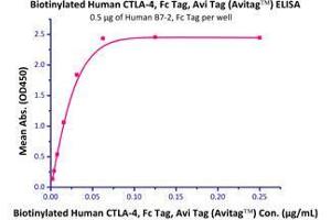 Binding Studies (Bind) image for Cytotoxic T-Lymphocyte-Associated Protein 4 (CTLA4) (AA 37-162) (Active) protein (Fc Tag,AVI tag,Biotin) (ABIN2870534)