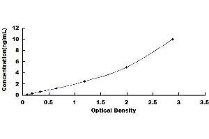 Typical standard curve (BRCC3 ELISA 试剂盒)