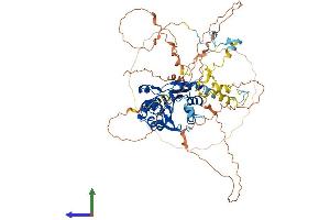AlphaFold protein structure predicition of Mouse Recombinant Mepce Protein, UniprotID Q8K3A9