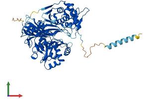 Protein Structure (PS) image for Glycerol Kinase 2 (GK2) (AA 1-554) protein (His tag) (ABIN7556265)