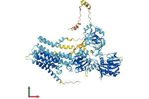 Protein Structure (PS) image for ATPase, Ca++ Transporting, Type 2C, Member 2 (ATP2C2) (AA 1-944) protein (His tag) (ABIN7562019)