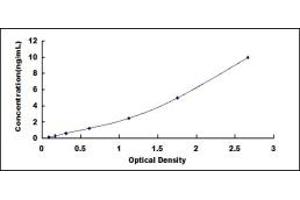 Typical standard curve (DAPP1 ELISA 试剂盒)