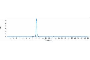 The purity of protein, determined by HPLC, is greater than 95 % . (Recombinant SLC39A6 抗体)