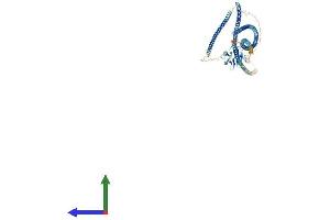 Protein Structure (PS) image for Sarcolemma Associated Protein (SLMAP) (AA 1-828) protein (His tag) (ABIN7555553)