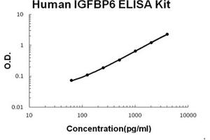 Human IGFBP6 Accusignal ELISA Kit Human IGFBP6 AccuSignal ELISA Kit standard curve.