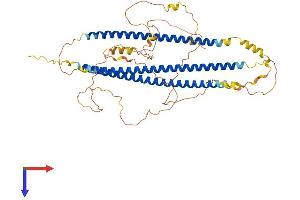 AlphaFold protein structure predicition of Mouse Recombinant N4bp3 Protein, UniprotID Q8C7U1 (N4BP3 Protein (AA 1-537) (His tag))