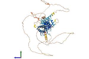 Protein Structure (PS) image for Mediator Complex Subunit 25 (MED25) (AA 1-745) protein (His tag) (ABIN7564726)