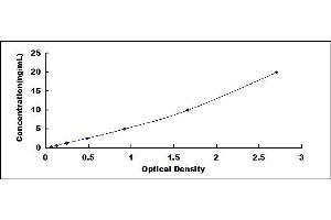 VDAC1 ELISA 试剂盒