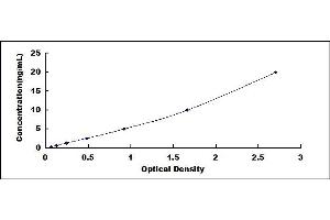 Typical standard curve (VDAC1 ELISA 试剂盒)