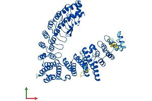 Protein Structure (PS) image for Fem-1 Homolog C (FEM1C) (AA 1-617) protein (His tag) (ABIN7559283)