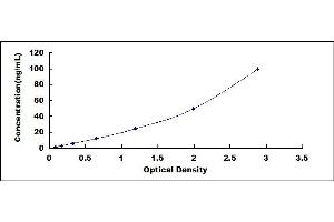 Typical standard curve (SEMA4D/CD100 ELISA 试剂盒)