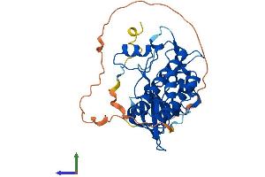 Protein Structure (PS) image for Tribbles Pseudokinase 2 (TRIB2) (AA 1-343) protein (His tag) (ABIN7559575)