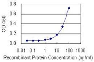 Detection limit for recombinant GST tagged EIF2C2 is 1 ng/ml as a capture antibody. (AGO2 抗体  (AA 1-377))