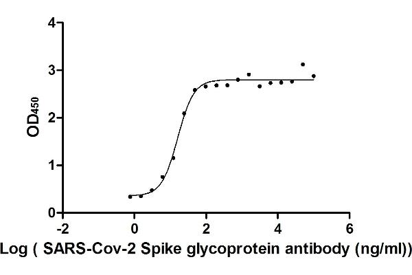 Recombinant SARS-CoV-2 Spike S1 抗体