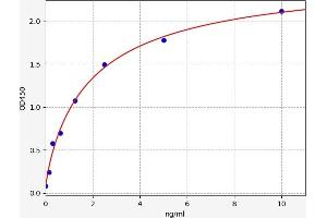 Typical standard curve (TPSB2 ELISA 试剂盒)