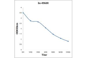 ELISA image for anti-Poly(A) Polymerase gamma (PAPOLG) (AA 101-200) antibody (ABIN1714858)