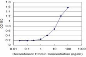Detection limit for recombinant GST tagged DCK is approximately 1ng/ml as a capture antibody. (DCK 抗体  (AA 161-260))