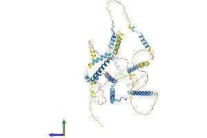 Protein Structure (PS) image for Family with Sequence Similarity 161, Member A (FAM161A) (AA 1-660) protein (His tag) (ABIN7547406)