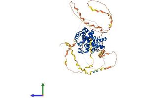 Protein Structure (PS) image for Cyclin K (CCNK) (AA 1-580) protein (His tag) (ABIN7552984)