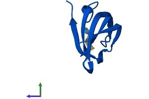 Protein Structure (PS) image for Small Nuclear Ribonucleoprotein Polypeptide G (SNRPG) (AA 1-76) protein (Fc Tag) (ABIN7556602)