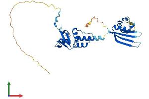 Protein Structure (PS) image for Potassium Channel Tetramerisation Domain Containing 15 (KCTD15) (AA 1-283) protein (His tag) (ABIN7548732)