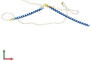 Protein Structure (PS) image for Kinetochore-Localized Astrin/SPAG5 Binding Protein (KNSTRN) (AA 1-316) protein (His tag) (ABIN7555520)