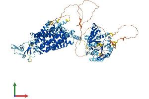 Protein Structure (PS) image for Solute Carrier Family 12 (Potassium-Chloride Transporter) Member 5 (SLC12A5) (AA 1-1138) protein (His tag) (ABIN7564778)