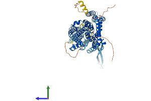 Protein Structure (PS) image for Solute Carrier Family 1 (Glutamate/Neutral Amino Acid Transporter), Member 4 (SLC1A4) (AA 1-532) protein (His tag) (ABIN7562380)