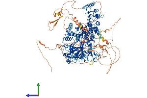 AlphaFold protein structure predicition of Mouse Recombinant Kdm2a Protein, UniprotID P59997