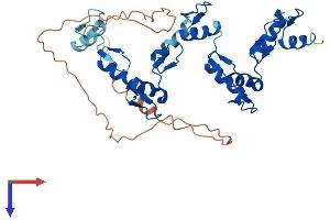 AlphaFold protein structure predicition of Human Recombinant ZNF696 Protein, UniprotID Q9H7X3