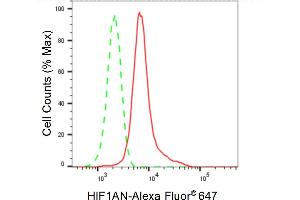 Flow cytometric analysis of HIF1AN expression in HeLa cells using HIF1AN antibody (ABIN7799018), 1:2,000). (Recombinant HIF1AN 抗体)