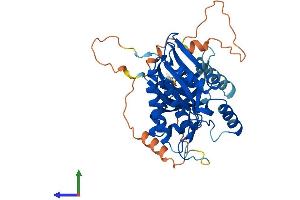 Protein Structure (PS) image for Inositol Hexakisphosphate Kinase 3 (IP6K3) (AA 1-396) protein (His tag) (ABIN7558958)