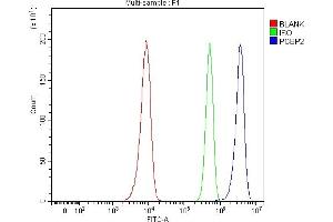 Flow Cytometry analysis of Hela cells using anti-hnRNP E2/PCBP2 antibody (ABIN7599983). (PCBP2 抗体  (AA 136-276))
