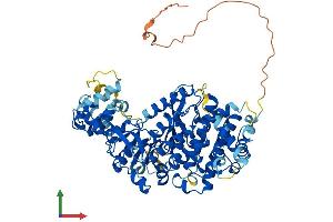 Protein Structure (PS) image for Asteroid Homolog 1 (ASTE1) (AA 1-672) protein (His tag) (ABIN7558684)