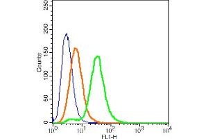 293T cells probed with MC-1R/MC1 Receptor Polyclonal Antibody, ALEXA FLUOR® 488 Conjugated (bs-1419R-A488) at 1:100 for 30 minutes compared to control cells (blue) and isotype control (orange). (MC1 Receptor 抗体  (AA 271-317) (AbBy Fluor® 488))