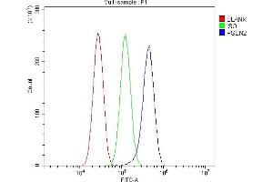Flow Cytometry analysis of U87 cells using anti-Presenilin 2/AD5/PSEN2 antibody (ABIN7602796). (Presenilin 2 抗体  (C-Term))