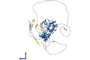 Protein Structure (PS) image for P21-Activated Kinase 6 (PAK6) (AA 1-682) protein (His tag) (ABIN7563731)