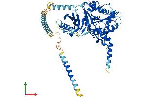Protein Structure (PS) image for Chondroitin Sulfate N-Acetylgalactosaminyltransferase 1 (CSGALNACT1) (AA 1-532) protein (His tag) (ABIN7553247)