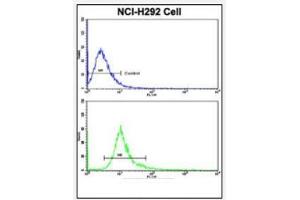 Flow Cytometric analysis of NCI-H292 cells using DCXR Antibody (Center) Cat. (DCXR 抗体  (Middle Region))