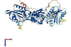 AlphaFold protein structure predicition of Human Recombinant SLFN12L Protein, UniprotID Q6IEE8
