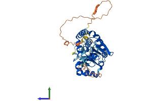 Protein Structure (PS) image for Dual Specificity Phosphatase 1 (DUSP1) (AA 1-367) protein (His tag) (ABIN7547216)