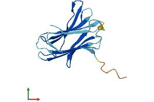 Protein Structure (PS) image for Galectin-Related Inter-Fiber Protein (GRIFIN) (AA 1-144) protein (His tag) (ABIN7548100)